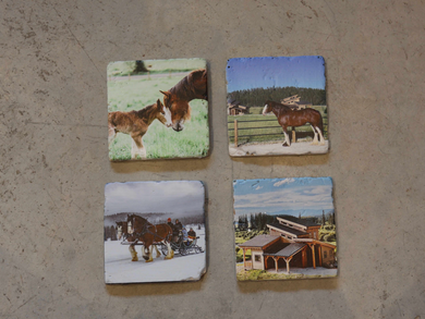 Clydesdale Outpost Coasters